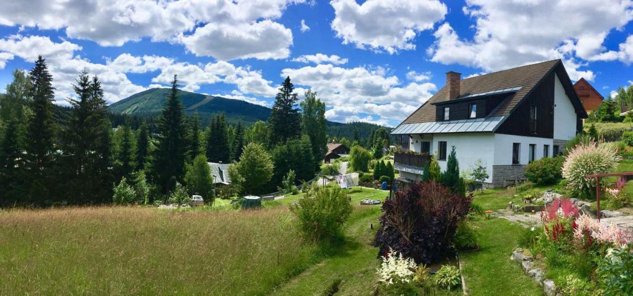 Apartments In Harrachov/Riesengebirge 2300 Eksteriør bilde